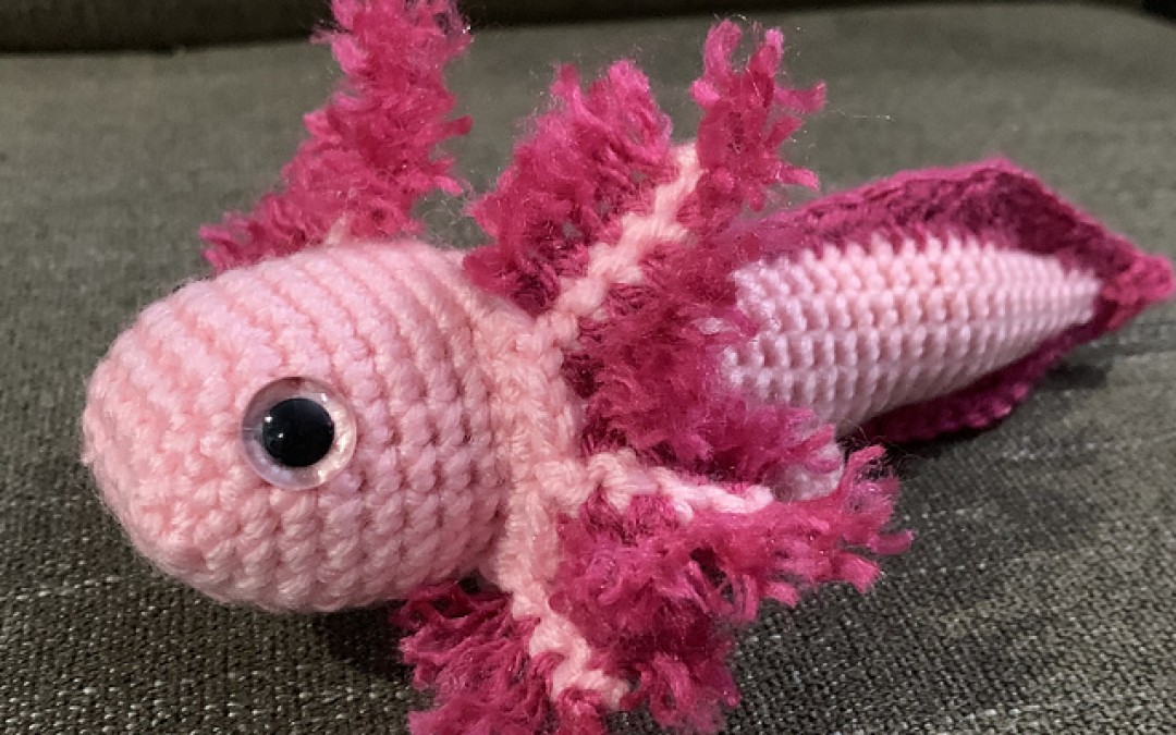 Axolotl